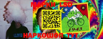 стаф Лесосибирск