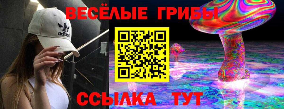 наркота  Вход с VPN  Жигулёвск  Псилоцибиновые грибы GOLDEN TEACHER 